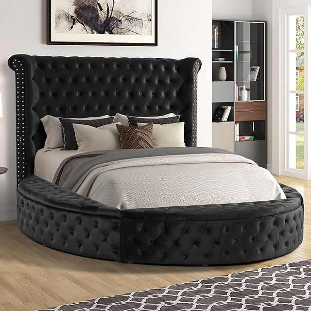 Black Velvet Queen Bed with Storage Compartment and USB Port